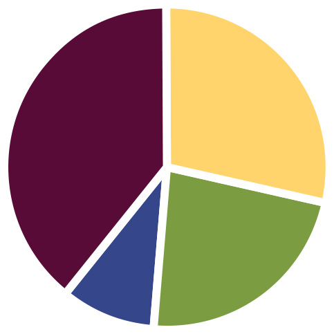 Pie chart to illustrate stats on age and gender 