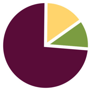 Pie chart to illustrate stats on SRHR