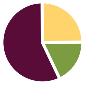 Pie chart to illustrate stats on SRHR