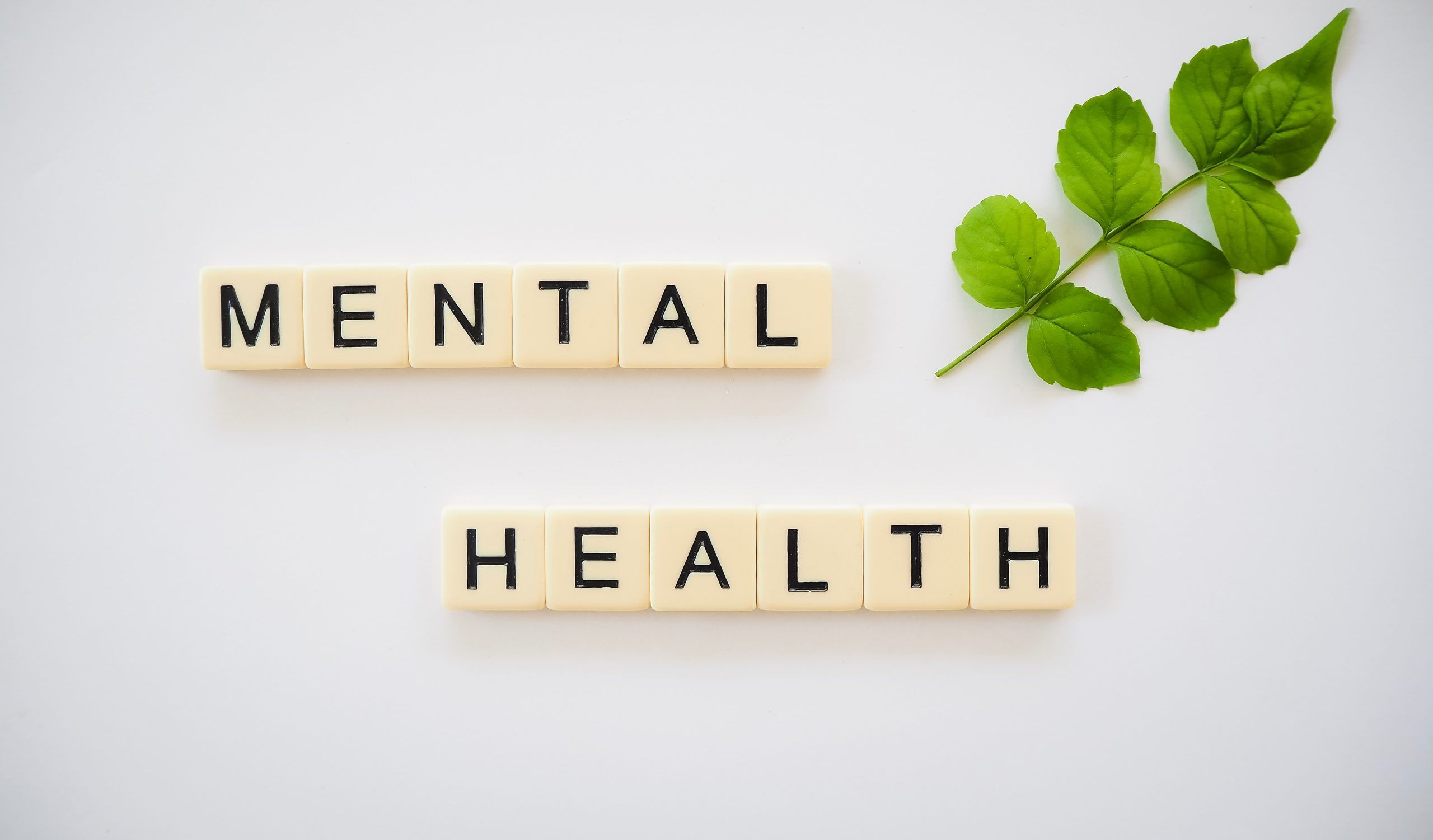 Mental Health During the COVID-19 Pandemic