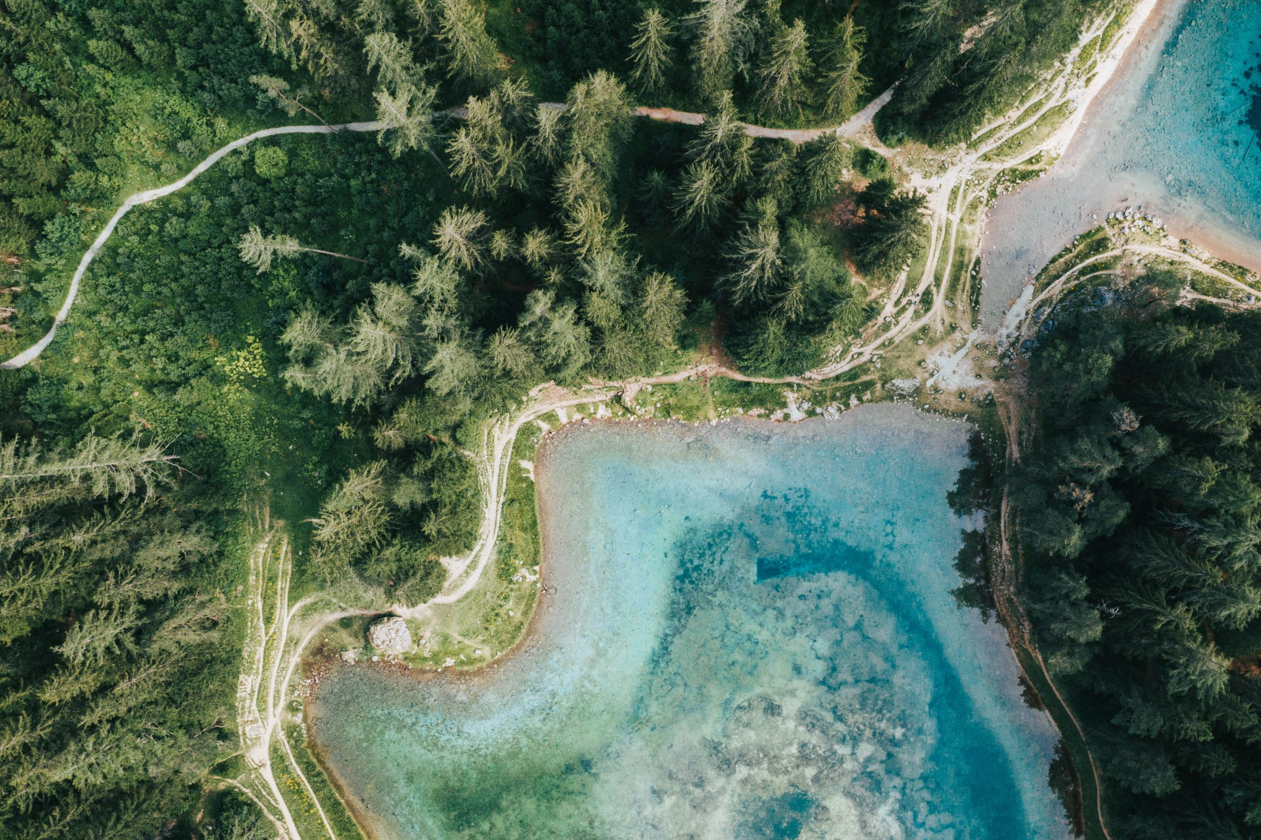 Data for Impact Bulletin: Summer 2025 Edition