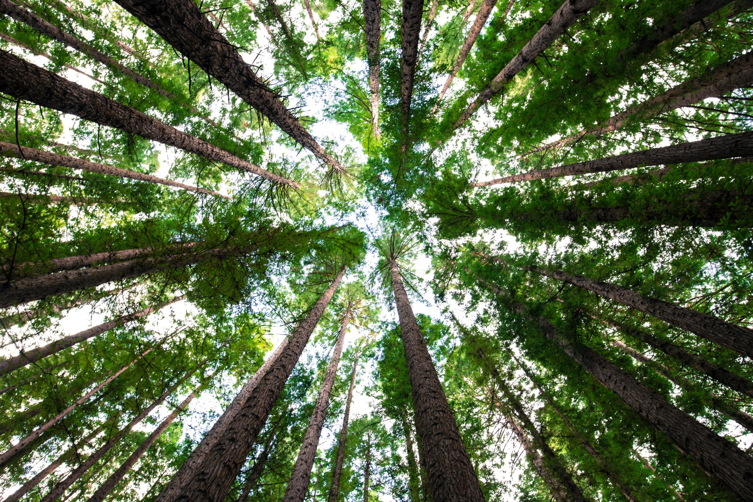 CanWaCH is proud to share our 2024-2025 annual report!